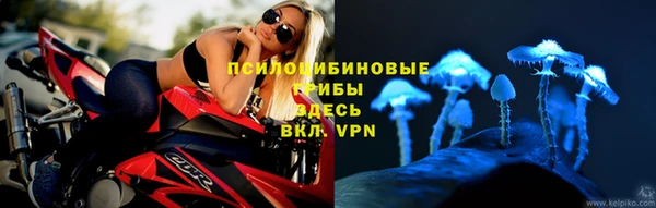 spice Касимов